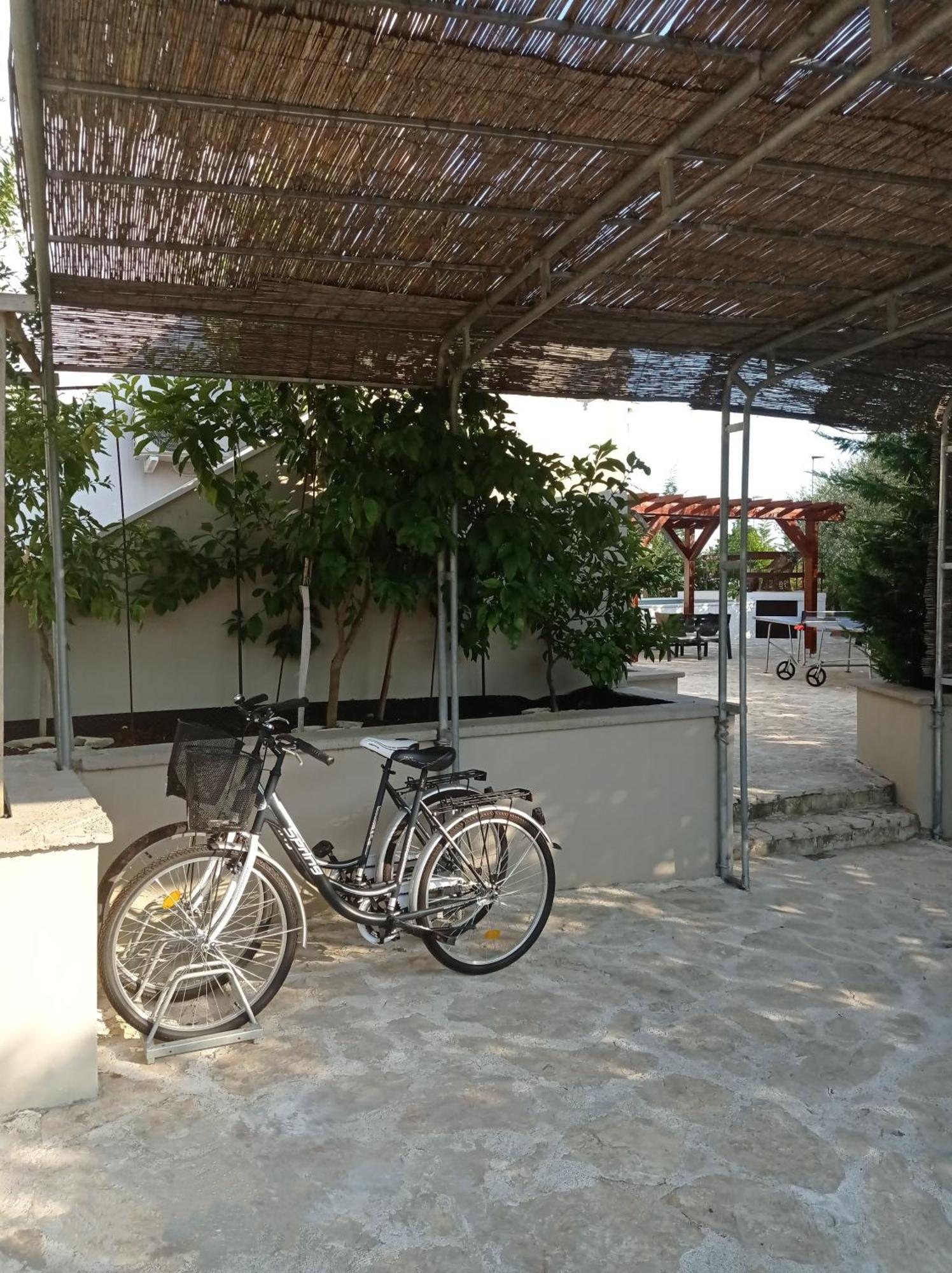 Villa Niko With Private Swimming Pool Zara Esterno foto