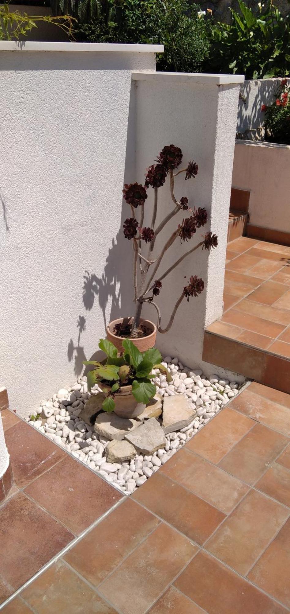 Villa Niko With Private Swimming Pool Zara Esterno foto